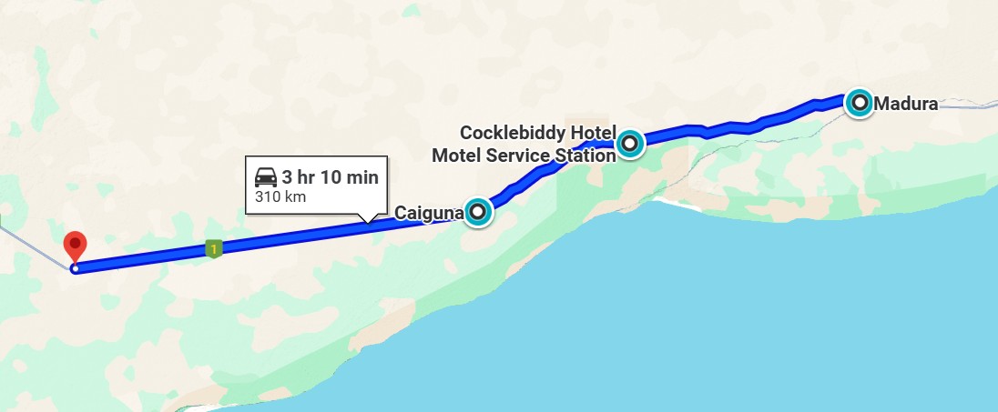 Day 8 – Of Timezones, Blowholes, and Bird Attacks