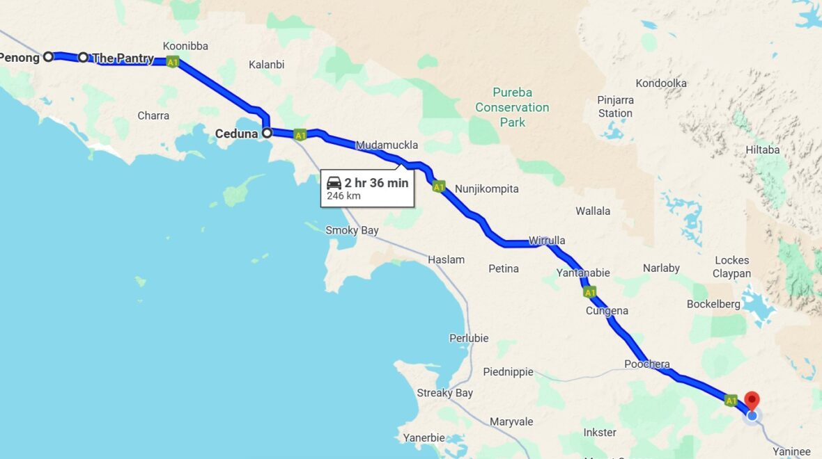 Day 24 – The Day Flies, Champagne, and Lamb Shanks Ruled